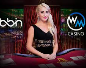 冰球突破豪华版手机版免费版